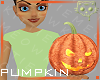 Pumpkin 7a Ⓚ