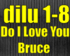 Do I Love You_Bruce Spri
