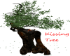 Lovers Kissing Tree