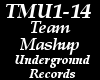 Team Mash-up