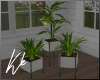[kk] Spring Plants