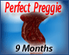 9 Months Preggo Reshaper