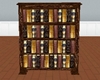 dragon bookshelf