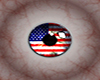 [VGP]American Eyes Male