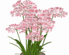Spring Vase Flowers 2