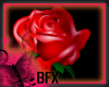 BFX E Rose Unblended