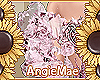 AM* Alexandra Sleeves