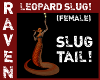 (F) LEOPARD SLUG TAIL!
