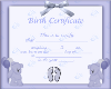 S.T~CHOC BIRTH CERT