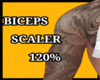 BICEPS SCALER 120%