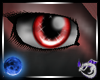 FP Peach Eyes