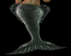 Mermaid Fin