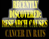 Cancer in rats