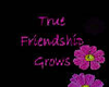 True Friendship Grows