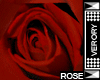 [V] Ssi Rose bundle