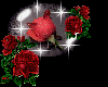 *T* Red Rose