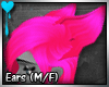 D~Complex Cat: Pink