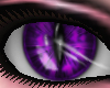[D] Feline Violet