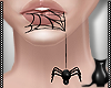 [CS] Mouth Spider