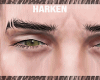 H ` Eyebrow2