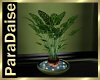 [PD] (Trans) Plant/Cndle