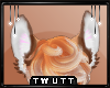T; Foxie Ears v1