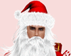 Santa Xmas Costume