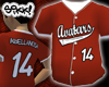 Abellanosa14 Jersey