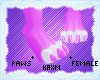 ꨄStacy Pawsꨄ