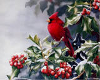 cardinal christmas