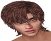 Disorder Brown