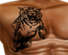 NIX~Tiger Chest Tattoo