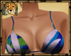 PdT Nori Kini Perfect