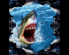 3D shark floor
