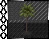 Animated Palm Tree V2