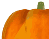 [G] Pumpkin Seat