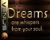 ~V~Dreams Wall Quote 2
