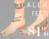 Scaler Feet 81%