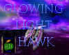 Glowing Light Hawk