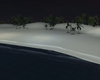 Beach at night