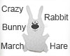 Сrazy Rabbit Bunny