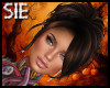 Rose B Spicy Black