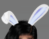 Bunny Ears Purple