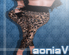 derivable xxl Outfits