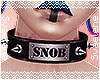 Snob Collar |F