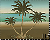 Palm Summer Beach x 3