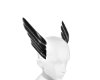 Black Headgear
