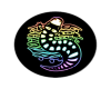 rainbowsalamander 