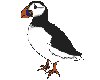 (BB)Animated Puffin