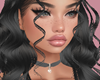 Canisse Black Req